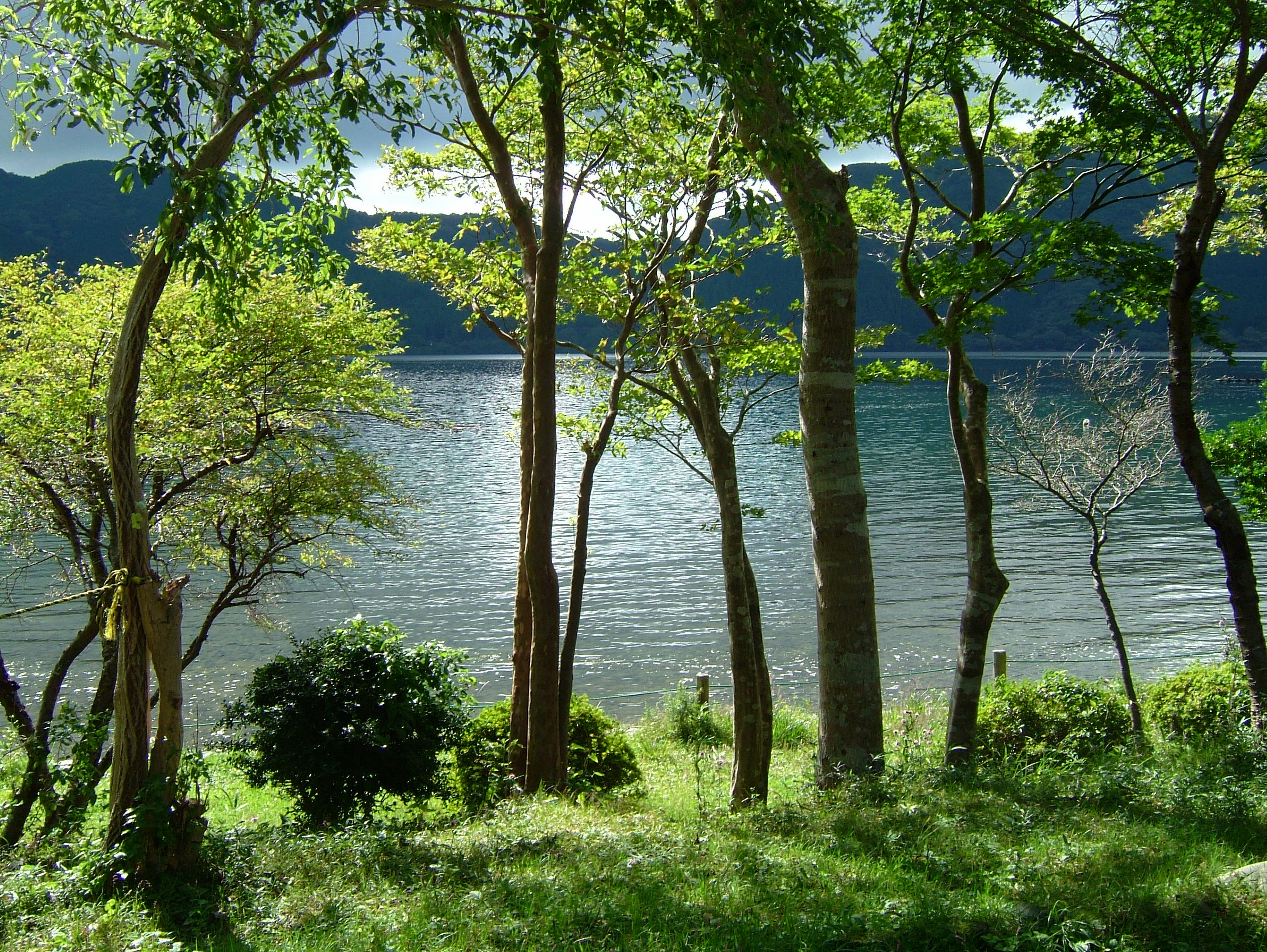 写真